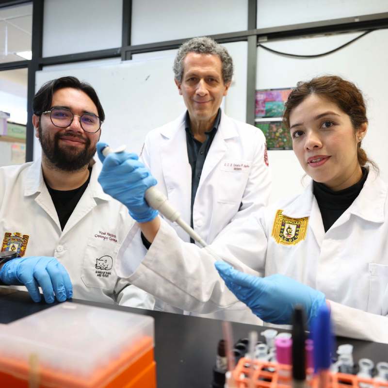 Con células madre, el IPN avanza en la regeneración de huesos, cartílago y tejido muscular